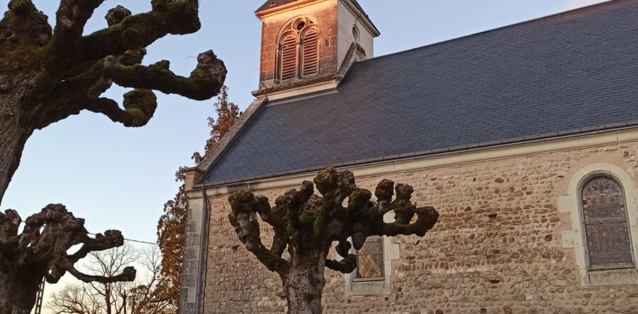 Sed blandit massa vel